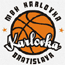 https://img.extinvest.com/img/basketball/team/0c2f73d2ab7041cf90029a20deff7f17.gif